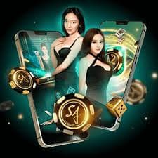 djbet77 djbet77