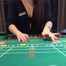 djbet77 djbet77